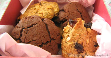 #image2 small portfolio2